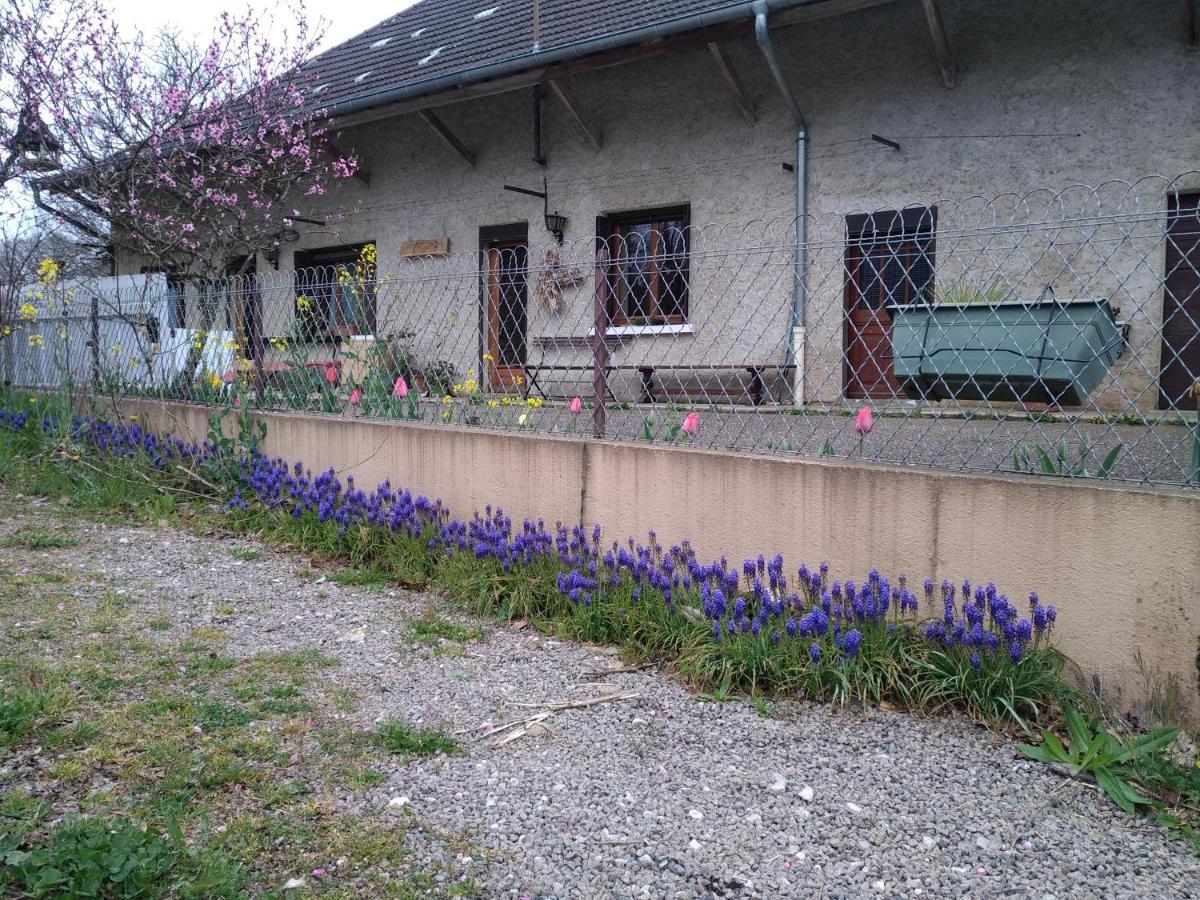 Chez Domi Syl Gite Nature Apartment Colonne ภายนอก รูปภาพ